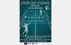 Résultats Coupe des Yvelines Adultes 2018