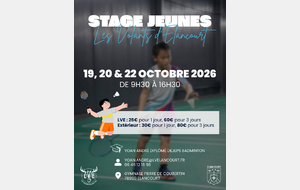 Stage jeunes à Elancourt Toussaint 2026