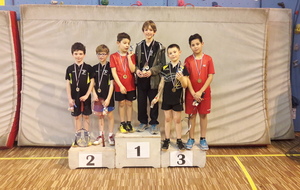 2017 DH J2 poussin