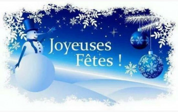🎄✨ Bonnes fêtes et meilleurs vœux ! ✨🎄